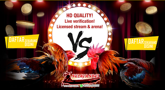 Live streaming Deposit S128 Daftar Sabung Ayam Online Filipina