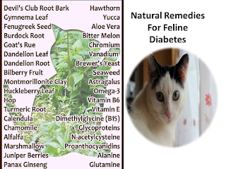 Natural Remedies For Feline Diabetes