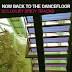 4007.-Va - now back to the dancefloor (20 luxury spicy tracks)