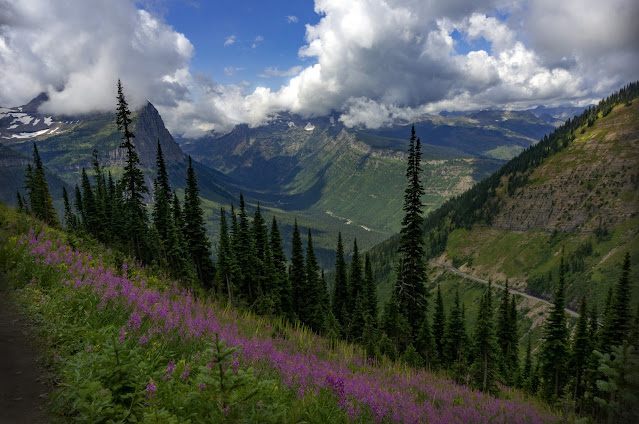 Best Times to Visit Glacier National Park