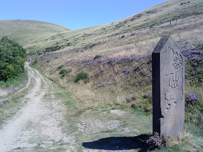 St. James Way: from St Jean Pied de Port to Roncesvalles / El Camino Francés por los Pirineos a Roncesvalles / Fotos do Camiño por Roncesvalles