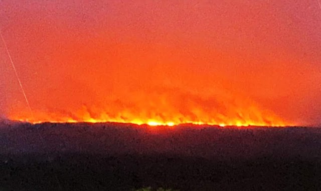 Daño ambiental deja los incendios en La Macarena