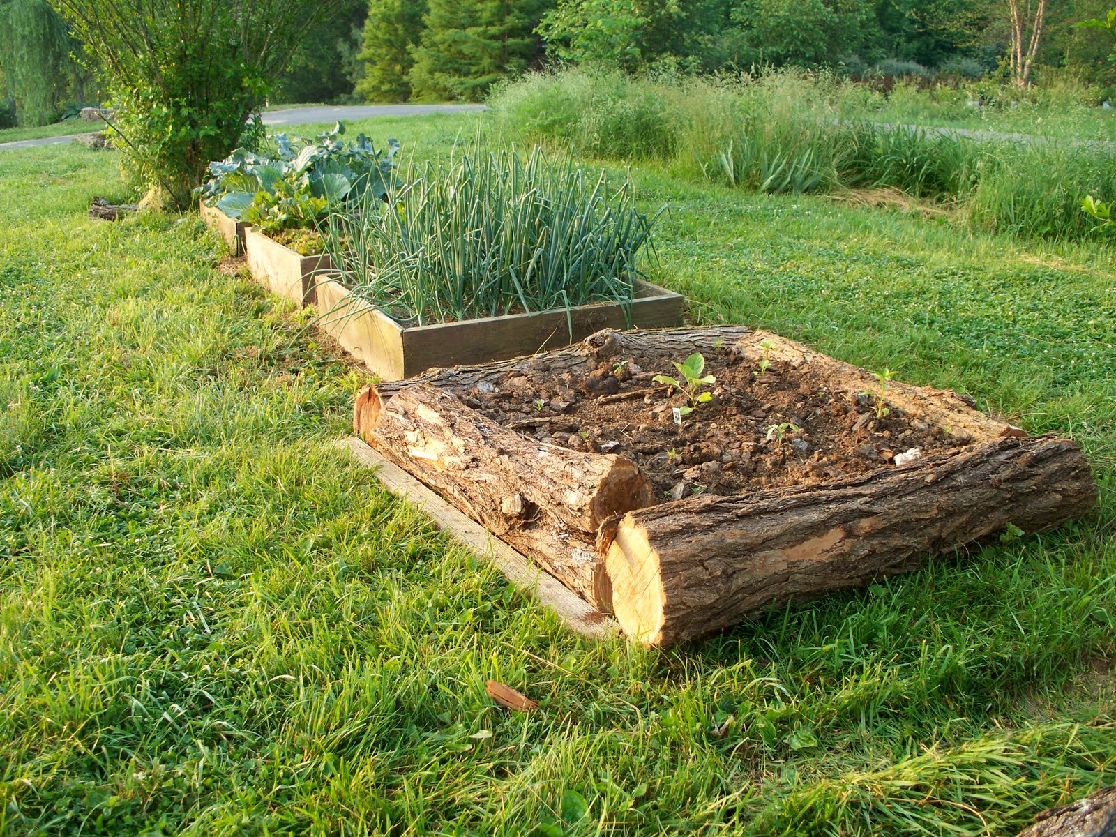 free log bed plans