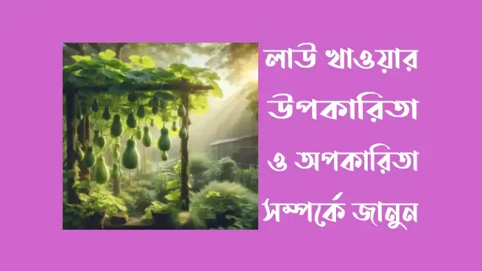 লাউ-খাওয়ার-উপকারিতা-ও -অপকারিতা-সম্পর্কে-জানুন