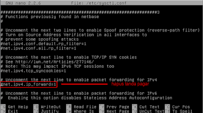 Lalu cari kata net.ipv4.ip_forward=1