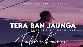 Tera Ban Jaunga slowad+rewarb mp3 song download on pagalworld