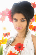 Amala Paul Photoshoot