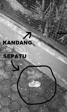 KBS (14) - Copy - Copy