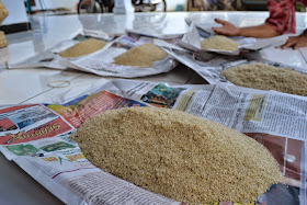 Peternak Jual Telur Jangkrik Berkualitas
