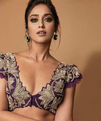 Goa-Beauty-Ileana-Targets-Super-Seniors-Andhra-Talkies