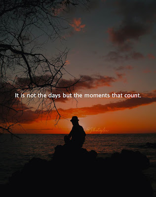 Best Live Quotes - It is not the day but the moments that count.