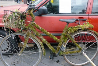 Moss covered bicycle