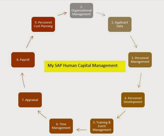 Dewi Yuliani Human Capital Management