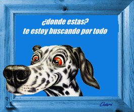 divertidos (2)