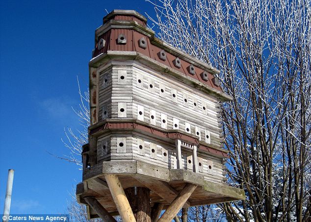 TwinkleDreams: Giant Bird Houses