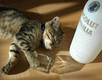 Cat drinking Absolut Vodka