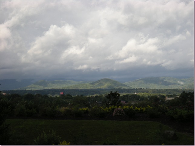 DSCN6718