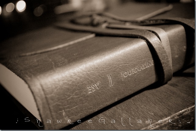 my bible.1