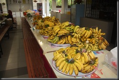 Jom makan buah-buahan 13.07.2011 038