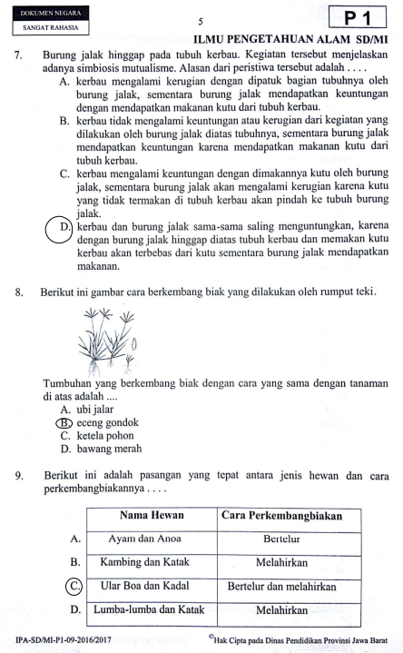  SOAL  DAN  JAWABAN  LATIHAN USBN IPA SD  TAHUN 2019 