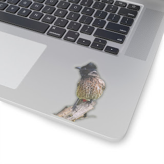 Bulbul, sticker, Transparent,