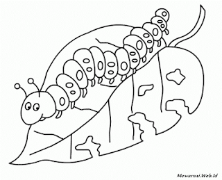 Mewarnai Gambar  Hewan  Melata  Ulat Dunia Mewarnai