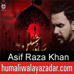 https://www.humaliwalayazadar.com/2014/10/asif-raza-khan-nohay-2007-to-2015.html