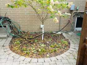 Toronto Fall Cleanup After Don Mills Backyard by Paul Jung Gardening Services--a Toronto Organic Gardening Services Company