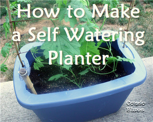 Condo Blues: How to Make a Self Watering Planter from a 