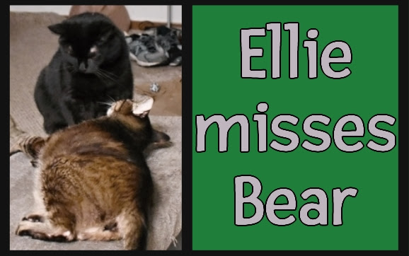 Ellie misses Bear