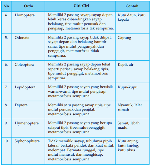 Ciri - Ciri dan Contoh Ordo Insekta