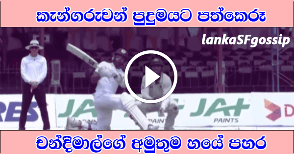 Sri Lankan Cricketer Chandimal Super 6 Against Australian Cricket Team 