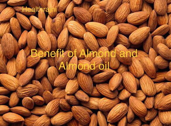 Benefit of Almond बादाम के फायदे