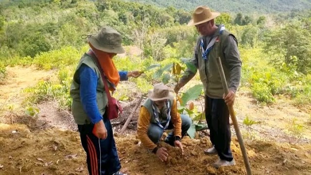 Messengers of Peace (MoP) Kalimantan Barat Save Pohon Ulin