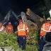 Ventarrón ocasiona daños en Santiago