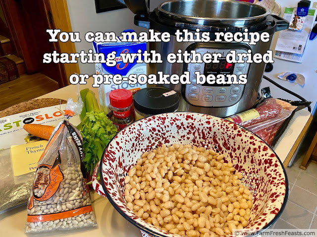 image of ingredients needed to make Instant Pot Hearty Cassoulet--either dry or soaked beans