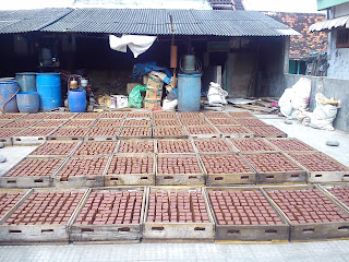 Jual Terasi Rebon Murah