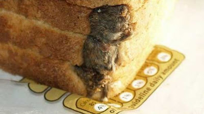 Dead Mouse Found In Loaf  Of Bread Seen On www.coolpicturegallery.net