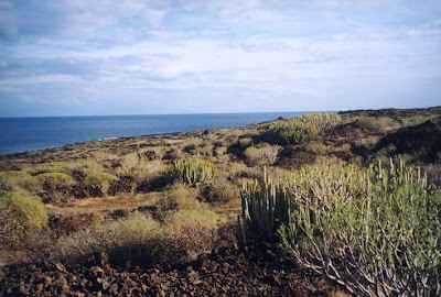 malpais guimar malpaís güímar tenerife