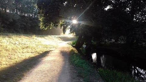 PASEANDO POR EL RÍO RATO