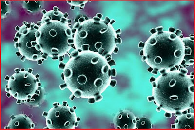 क्या है कोरोना वायरस ,what is the coronavirus