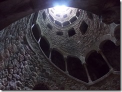 DSCN1882