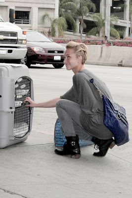 Hayden Panettiere LAX