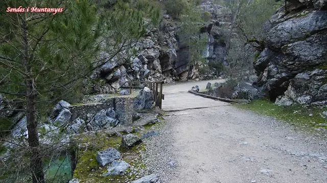 Puente, Nacimiento río Borosa, Pontones, Sierra de Cazorla, Jaén, Andalucía