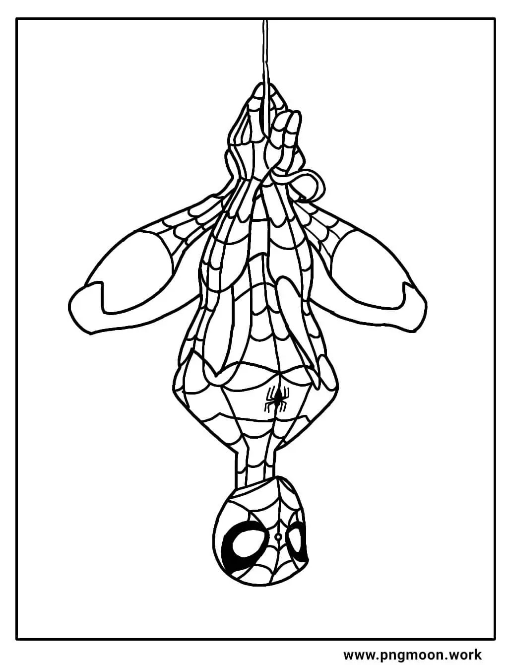 hanging spiderman