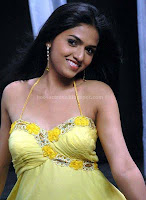 Tamil, actress, sunaina, navel, show, photos