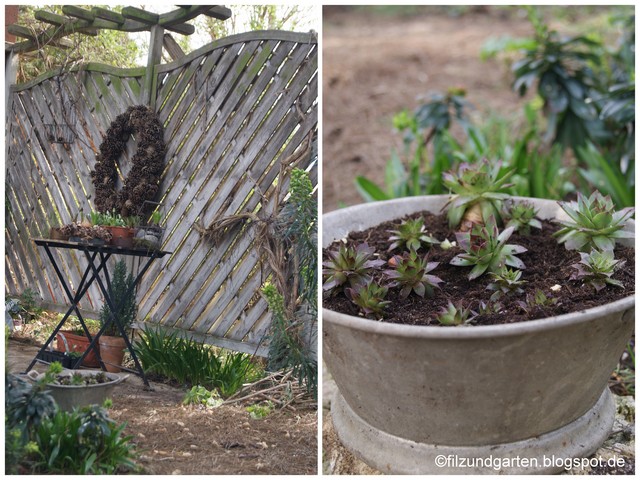 Altes Vintagesieb mit Hauswurz bepflanzt und Gartentisch mit Deko