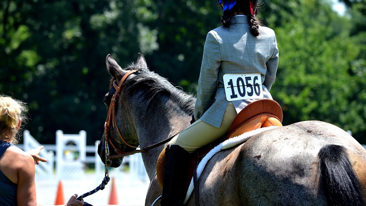 Horse Shows For Kids
