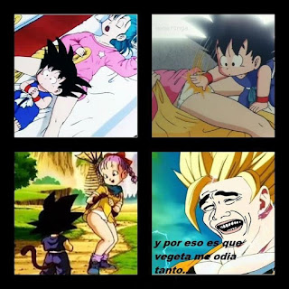 MEMES GRACIOSOS DE DBZ