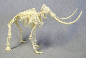 Mammoth Bones